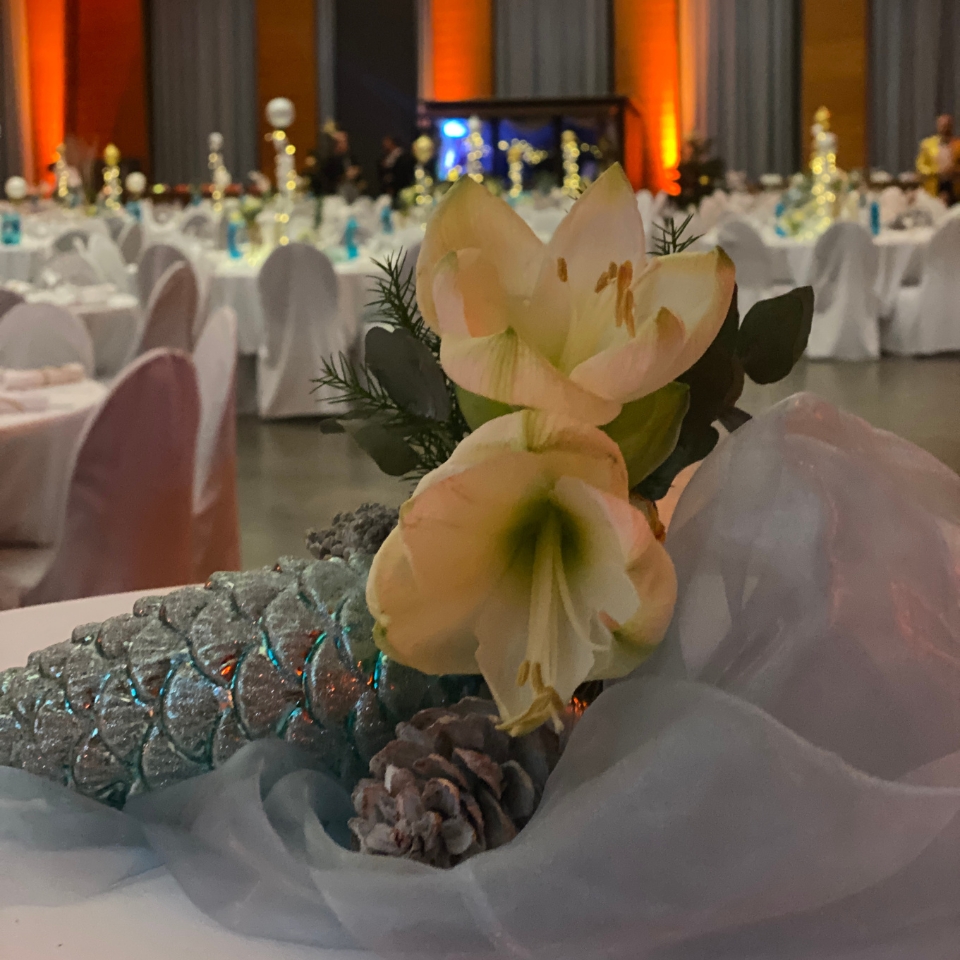 Check24 Goethe Uni Blumen FLOW THE KITCHEN
