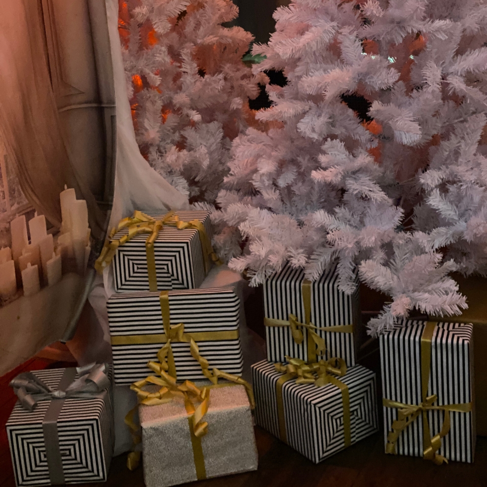 Check24 Goethe Uni Geschenke unter Baum FLOW THE KITCHEN