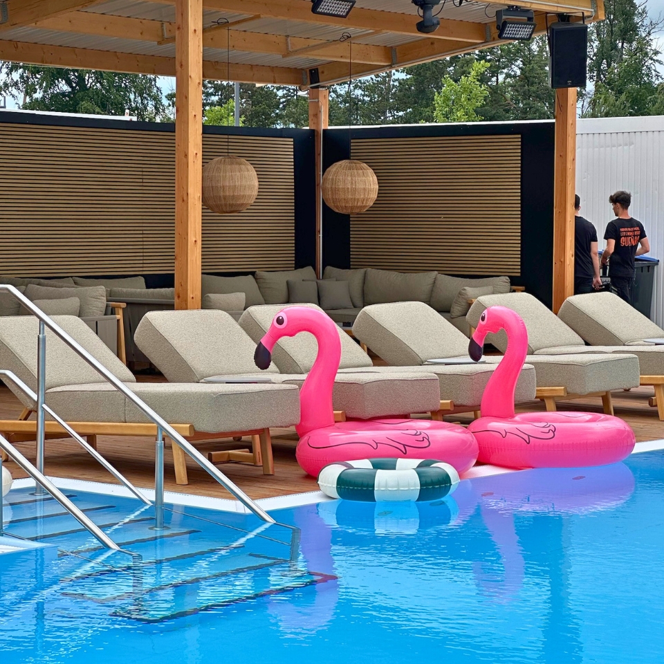 Pool & Flamingos